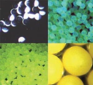 Microspheres for Use in Medical Devices - Fluorescent, Phosphorescent, Black Light