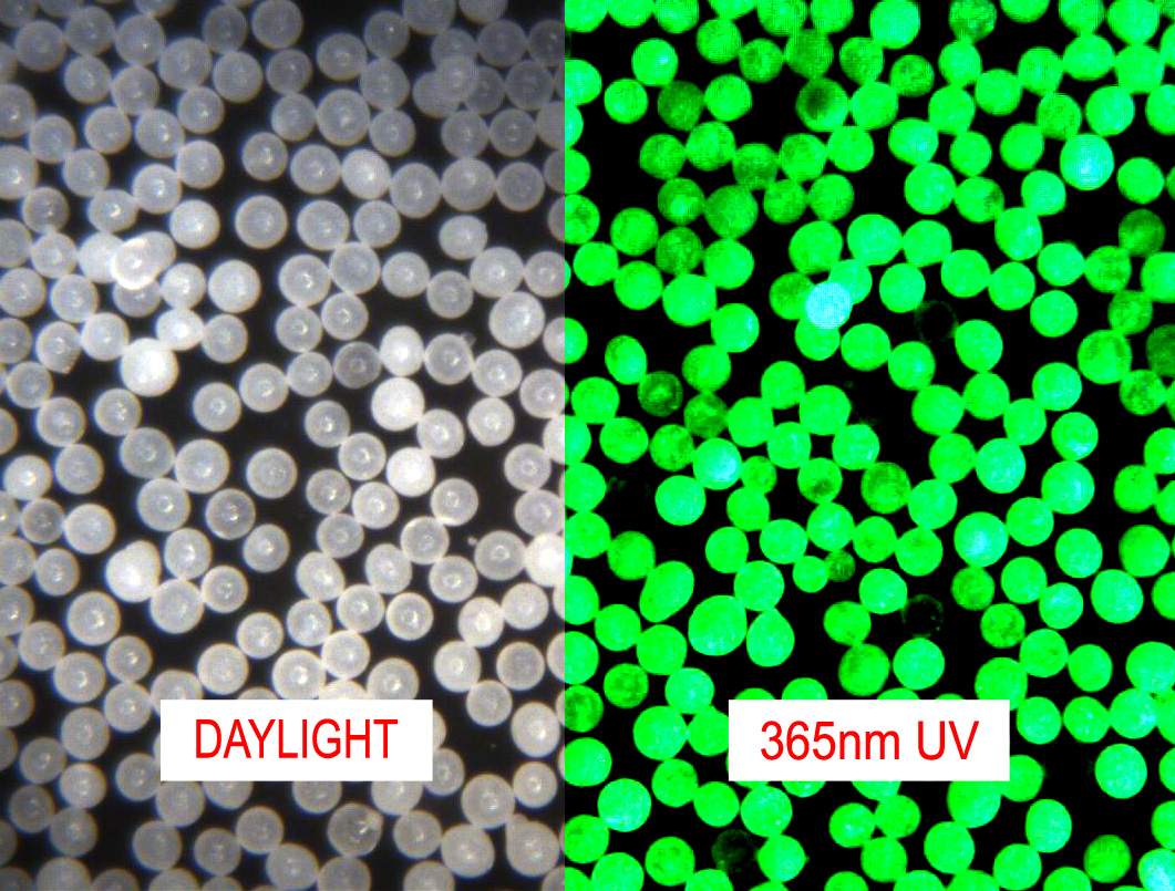 Invisible Microspheres - Activated to Yellow-Green by a UV Light (Black Light)