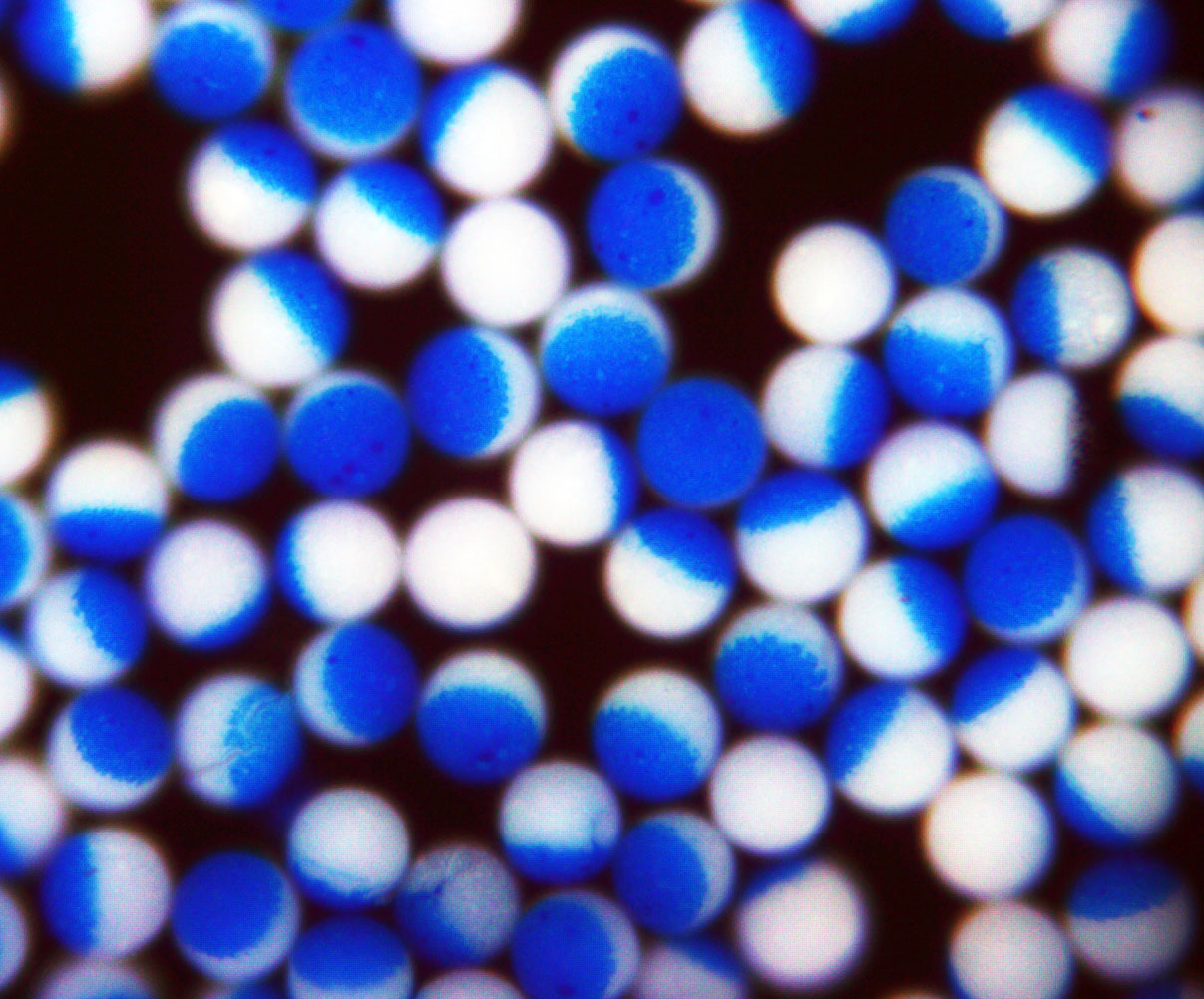 Hemispherically-Coated Bicolor Microspheres, Microparticles