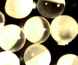 Transparent and Opaque Janus Particles - Half-shell Coated Glass Microspheres