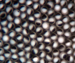 Rotating Particles (Balls, Beads, Spheres) in Electric Field - Bichromal Black and White Spheres