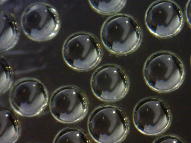 Barium Titanate Solid Glass Microspheres and Spheres