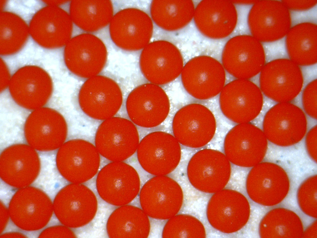 Red Polystyrene Plastic Spheres