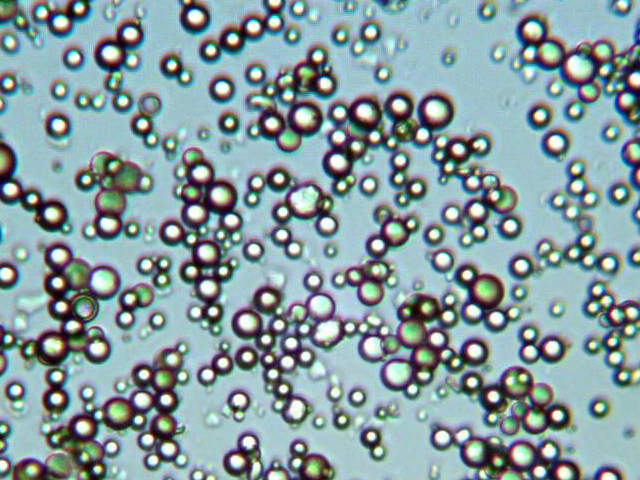 Polydisperse Silica Microspheres 1.67g/cc d50=4-8um - Porous Silica Beads