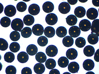 Conductive Glass Microspheres, Beads, Particles - 125-150um diameter