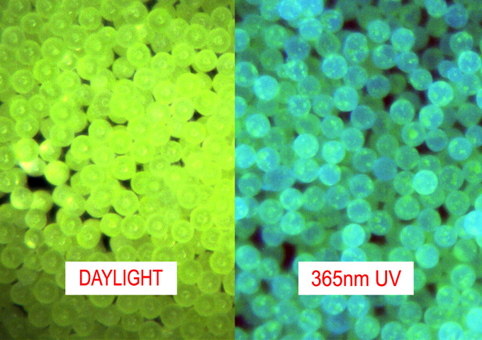 UV Fluorescent Microspheres - Yellow in Daylight, Blue-Green in UV Light 0.98g/cc - Bright Fluorescent Polymer Beads, Particles