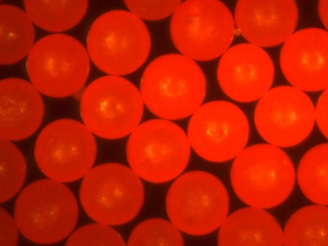 Fluorescent Red Polyethylene Microspheres Density 1.050g/cc<br>Bright Fluorescent Red Particles 605nm Peak.