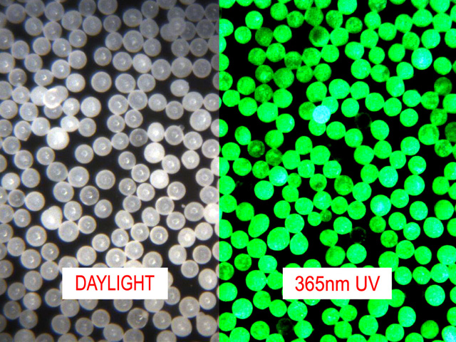 UV Fluorescent Microspheres Density 0.98g/cc - Clear (Translucent) in Daylight, Brilliant Yellow-Green with UV illumination (365nm)