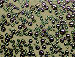 Nickel-plated Hollow Glass Microspheres 5-30um - Metal Coated Glass Beads, Spheres, Microparticles