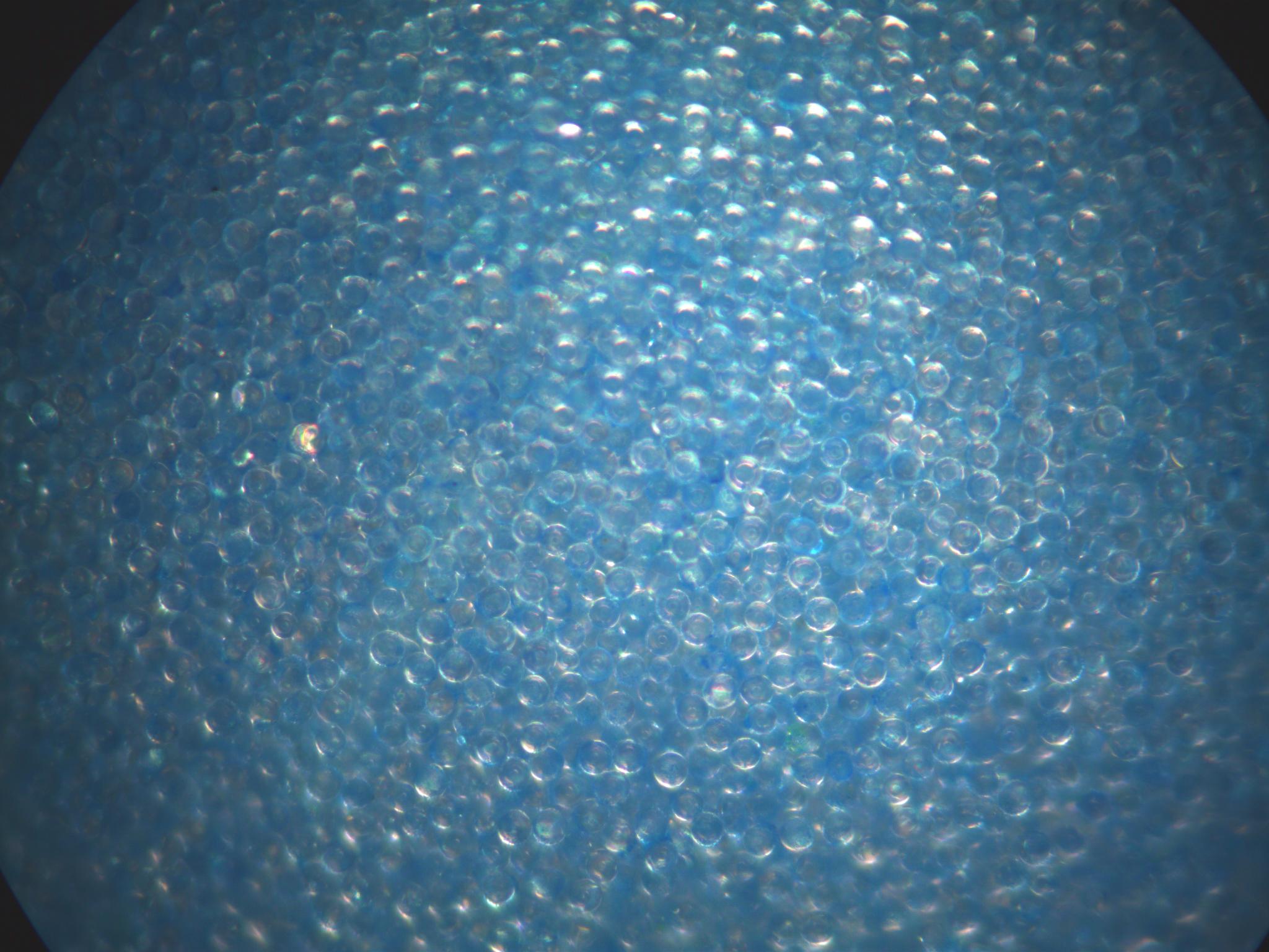 Blue Fluorescent Hemispherical Coating on Solid Glass Microspheres 45-53 micron - 100X magnification