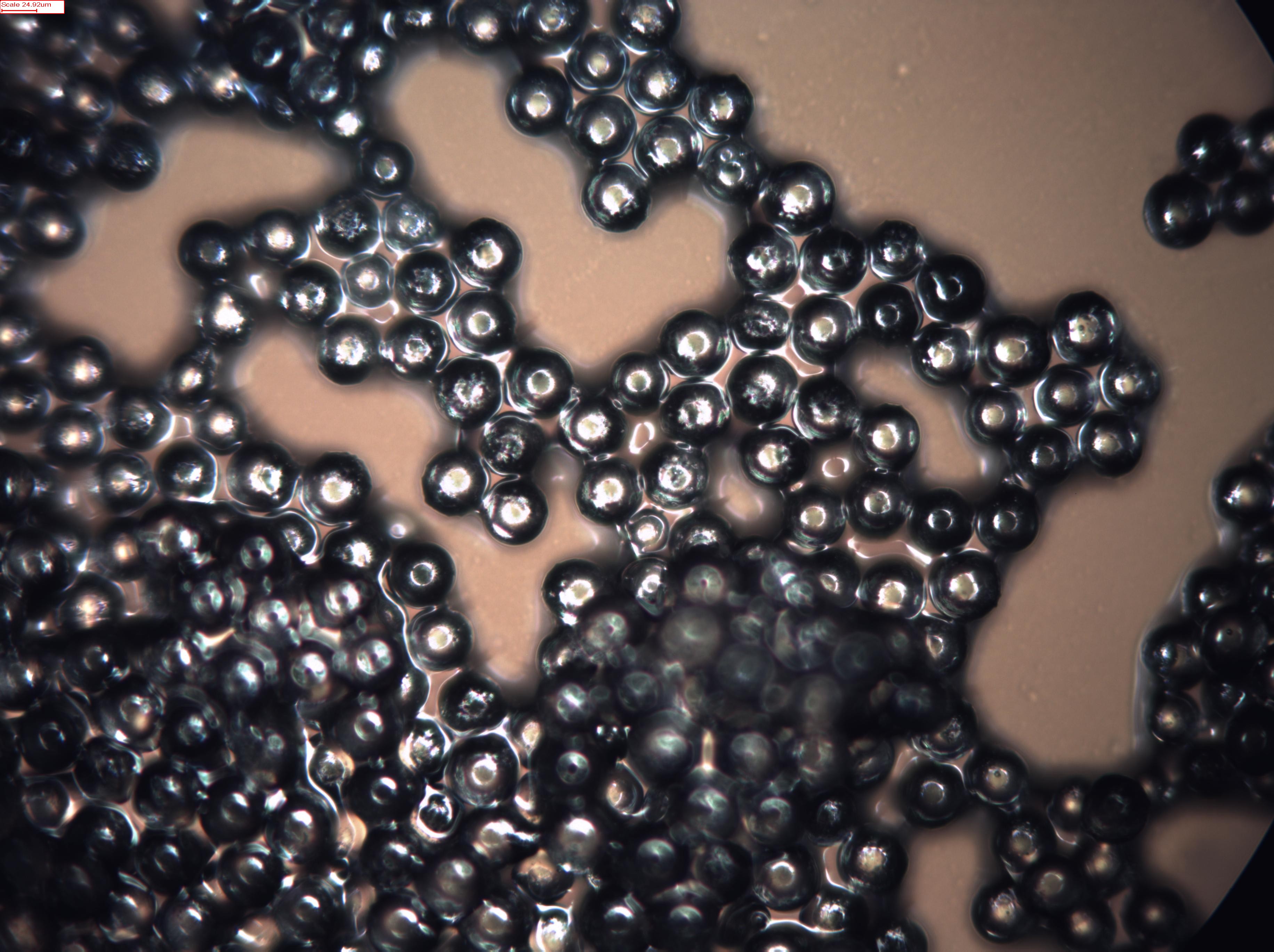 Black Paramagnetic Coated Glass Microspheres - Various sizes and densities Black Paramagnetic glass, glass spheres, microspheres, particles, microparticles, beads
