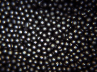 Black Paramagnetic Polyethylene Microspheres 10um to 1mm in Diameter. Paramagnetic microspheres have the ability to increase their magnetization with an applied magnetic field and decrease their magnetism when the field is removed.