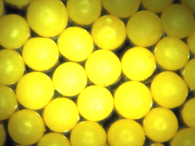 Yellow Polyethylene Microspheres Density 1.00g/cc<br>Spherical Bright Yellow Particles for Flow Visualization and PIV